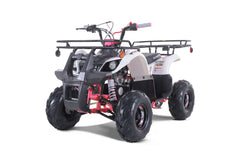 Tao Motor D125 Youth ATV
