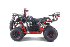 Tao Motor D125 Youth ATV