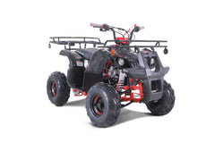 Tao Motor D125 Youth ATV
