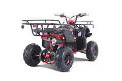 Tao Motor D125 Youth ATV