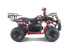 Tao Motor D125 Youth ATV