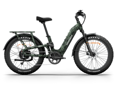 Himiway D5 2.0 Camo Electric Bike