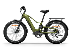 Himiway D5 2.0 Step-over Electric Bike