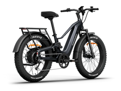 Himiway D5 2.0 Step-over Electric Bike