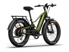 Himiway D5 2.0 Step-over Electric Bike