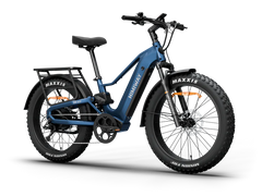 Himiway D5 2.0 Step-over Electric Bike