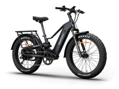 Himiway D5 2.0 Step-over Electric Bike