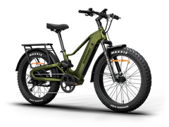 Himiway D5 2.0 Step-over Electric Bike