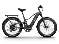 Himiway D5 2.0 Step-over Electric Bike