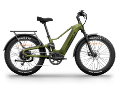 Himiway D5 2.0 Step-over Electric Bike