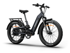 Himiway D5 2.0 Step-Thru Electric Bike