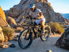 Himiway D5 2.0 Step-over Electric Bike