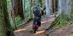 Himiway D5 2.0 Camo Electric Bike