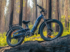 Himiway D5 2.0 Step-Thru Electric Bike