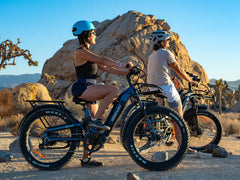 Himiway D5 2.0 Step-Thru Electric Bike
