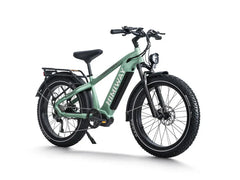 Himiway D5 Pro / All-terrain Electric Fat Bike