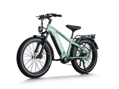 Himiway D5 Pro / All-terrain Electric Fat Bike