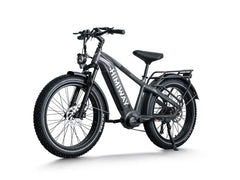 Himiway D5 Pro / All-terrain Electric Fat Bike
