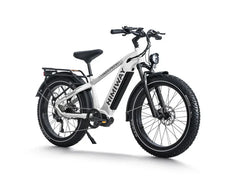 Himiway D5 Pro / All-terrain Electric Fat Bike