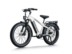 Himiway D5 Pro / All-terrain Electric Fat Bike