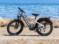 Himiway D5 Pro / All-terrain Electric Fat Bike