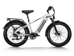 Himiway D5(Zebra) / All-terrain Electric Fat Bike