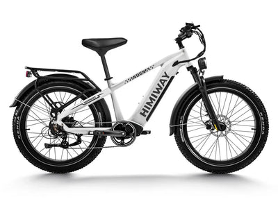 Himiway D5(Zebra) / All-terrain Electric Fat Bike