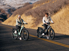 Himiway D5(Zebra) / All-terrain Electric Fat Bike