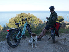 Himiway D5 ST(Zebra ST) / All-terrain Electric Fat Bike
