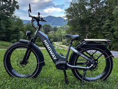 Himiway D5 ST(Zebra ST) / All-terrain Electric Fat Bike