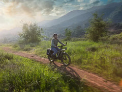 Himiway D5(Zebra) / All-terrain Electric Fat Bike