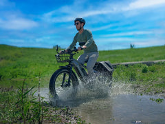 Himiway D5(Zebra) / All-terrain Electric Fat Bike