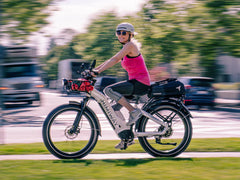 Himiway D5(Zebra) / All-terrain Electric Fat Bike