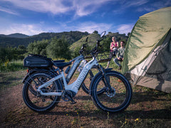 Himiway D5(Zebra) / All-terrain Electric Fat Bike