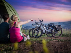Himiway D5 ST(Zebra ST) / All-terrain Electric Fat Bike