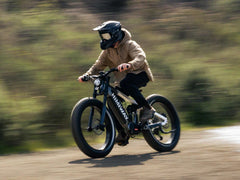 Himiway D7 Pro Mountain eBike