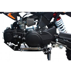 Tao Motor DB14 Dirt Bike - Middle-Sized 110cc