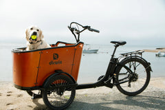 Dirwin Caravan 350W Electric Cargo Bike