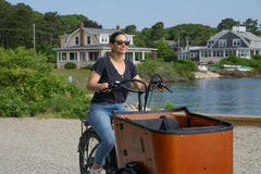 Dirwin Caravan 350W Electric Cargo Bike