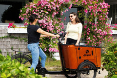 Dirwin Caravan 350W Electric Cargo Bike