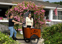 Dirwin Caravan 350W Electric Cargo Bike