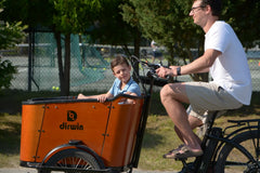 Dirwin Caravan 350W Electric Cargo Bike