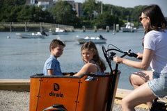 Dirwin Caravan 350W Electric Cargo Bike
