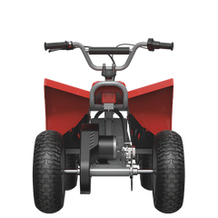 Razor Electric Dirt Quad