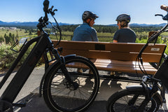Dirwin Pacer Lite 500W Electric Bike
