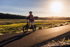 Dirwin Voyager 500W Folding Electric Bike