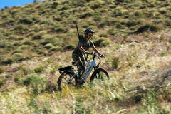 Dirwin Pacer Plus 750W Electric Bike