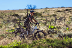 Dirwin Pacer Plus 750W Electric Bike