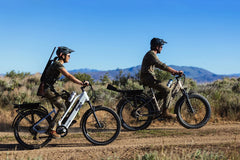 Dirwin Pioneer Plus 750W / 1000W Peak Hunting Electric Bike
