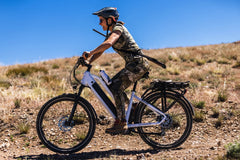 Dirwin Pacer Plus 750W Electric Bike